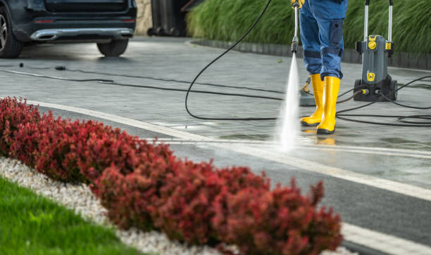 Best Soft Washing  in Parklawn, CA